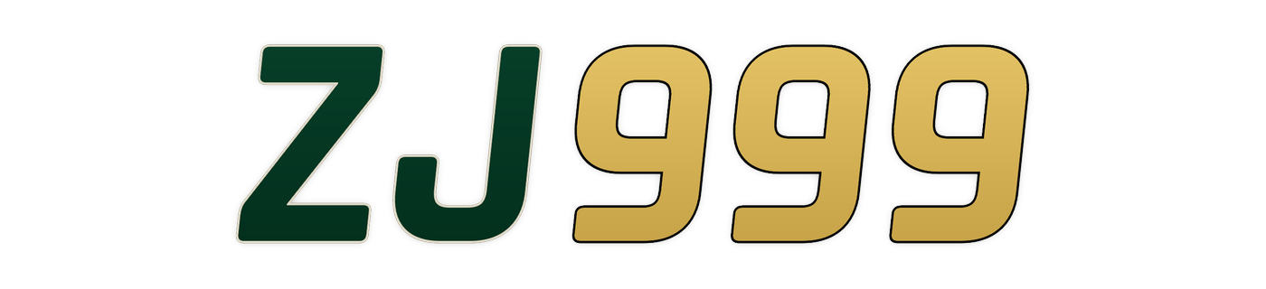 zj999